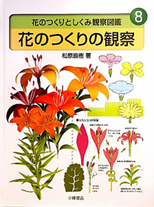 花のつくりの観察　花のつくりとしくみ観察図鑑８