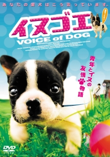 犬と私の10の約束 映画の動画 Dvd Tsutaya ツタヤ