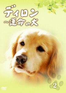 犬と歩けば チロリとタムラ 映画の動画 Dvd Tsutaya ツタヤ