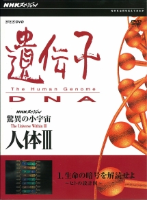 驚異の小宇宙 人体III  遺伝子・DNA 第1集 生命の暗号を解読せよ~ヒトの設計図~