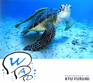 WA! 古見きゅう写真集