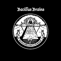 祭り囃子がきこえる/THE BACILLUS BRAINS(THE 日本脳炎) - レンタルCD