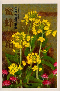 蜜蜂の箱 佐々木通代歌集