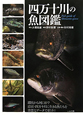 四万十川の魚図鑑