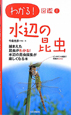 水辺の昆虫　わかる！図鑑8