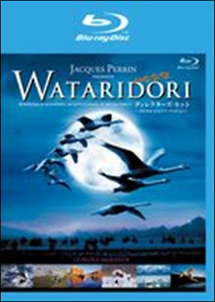 ＷＡＴＡＲＩＤＯＲＩ