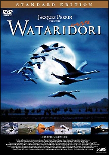 WATARIDORI
