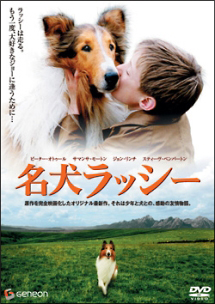 名犬ラッシー - レンタルDVD｜TSUTAYA レンタル・販売 商品在庫検索