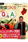 趣味の園芸　藤田智の野菜づくり　徹底Ｑ＆Ａ