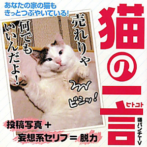 猫の一言