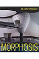 MORPHOSIS　RECENT　PROJECT