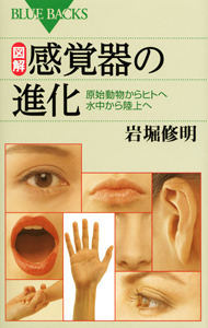図解・感覚器の進化