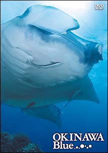 OKINAWA Blue(沖縄ブルー)