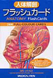人体解剖フラッシュカード