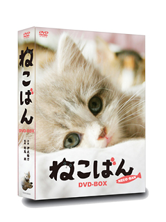 ねこばん　DVD－BOX