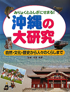 沖縄の大研究