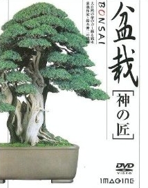 盆栽　ＢＯＮＳＡＩ－神の匠－