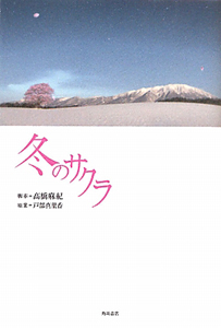 冬のサクラ ドラマの動画 Dvd Tsutaya ツタヤ