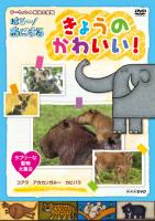 NHK DVD ダーウィンの動物大図鑑 はろ～!あにまる きょうのかわいい!