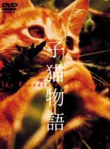 子猫物語