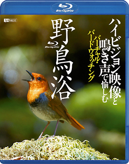 野鳥浴　ハイビジョン映像と鳴き声で愉しむバーチャル・バードウォッチング