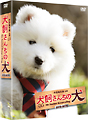 連続テレビドラマ　犬飼さんちの犬　DVD－BOX