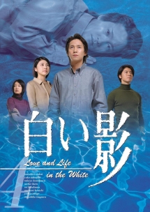 白い影 4