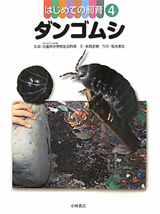 ダンゴムシ はじめての飼育4