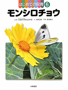 モンシロチョウ はじめての飼育6