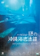 謎の沖縄海底遺跡　mysterious　dive