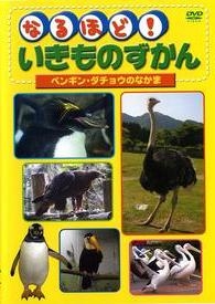 なるほど！いきものずかんとり　２