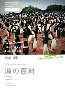 空飛ぶペンギン の作品一覧 32件 Tsutaya ツタヤ T Site