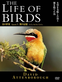 ＴＨＥ　ＬＩＦＥ　ＯＦ　ＢＩＲＤＳ　鳥の世界　翼の記憶