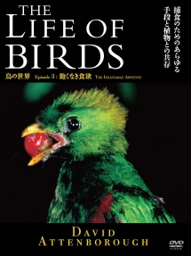 ＴＨＥ　ＬＩＦＥ　ＯＦ　ＢＩＲＤＳ　鳥の世界　飽くなき食欲