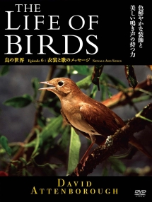 ＴＨＥ　ＬＩＦＥ　ＯＦ　ＢＩＲＤＳ　鳥の世界　衣装と歌のメッセージ