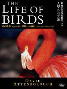 ＴＨＥ　ＬＩＦＥ　ＯＦ　ＢＩＲＤＳ　鳥の世界　環境への適用