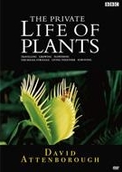 ＢＢＣ　植物の世界　２　食虫植物の生態