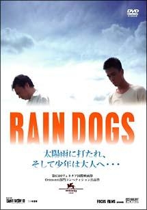 ＲＡＩＮ　ＤＯＧＳ