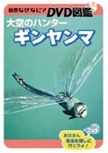 自然なぜなに？　ＤＶＤ図鑑大空のハンター　ギンヤンマ