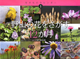 野山の花をさがす12か月　生きものカレンダー1