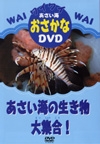 ワイワイおさかなＤＶＤ　あさい海の生き物大集合！