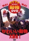 ワイワイ動物DVD　かわいい動物大集合！