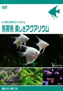 トロピカルフィッシュ　熱帯魚　美しきアクアリウム　飼い方・育て方