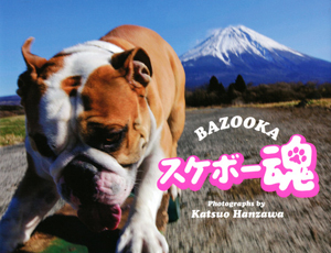 ＢＡＺＯＯＫＡ　スケボー魂