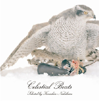 Ｃｅｌｅｓｔｉａｌ　Ｂｅａｔｓ　ｓｅｌｅｃｔｅｄ　ｂｙ　Ｋｅｎｉｃｈｉｒｏ　Ｎｉｓｈｉｈａｒａ