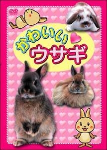 かわいい ウサギ キッズの動画 Dvd Tsutaya ツタヤ