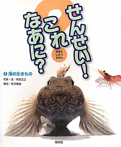 せんせい！これなあに？　海の生きもの