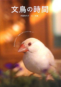 文鳥の時間