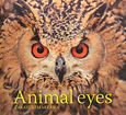 Animal　eyes