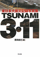 TSUNAMI　3・11